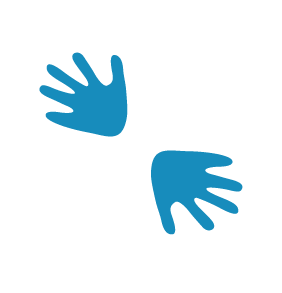 Project Dzidzor Logo